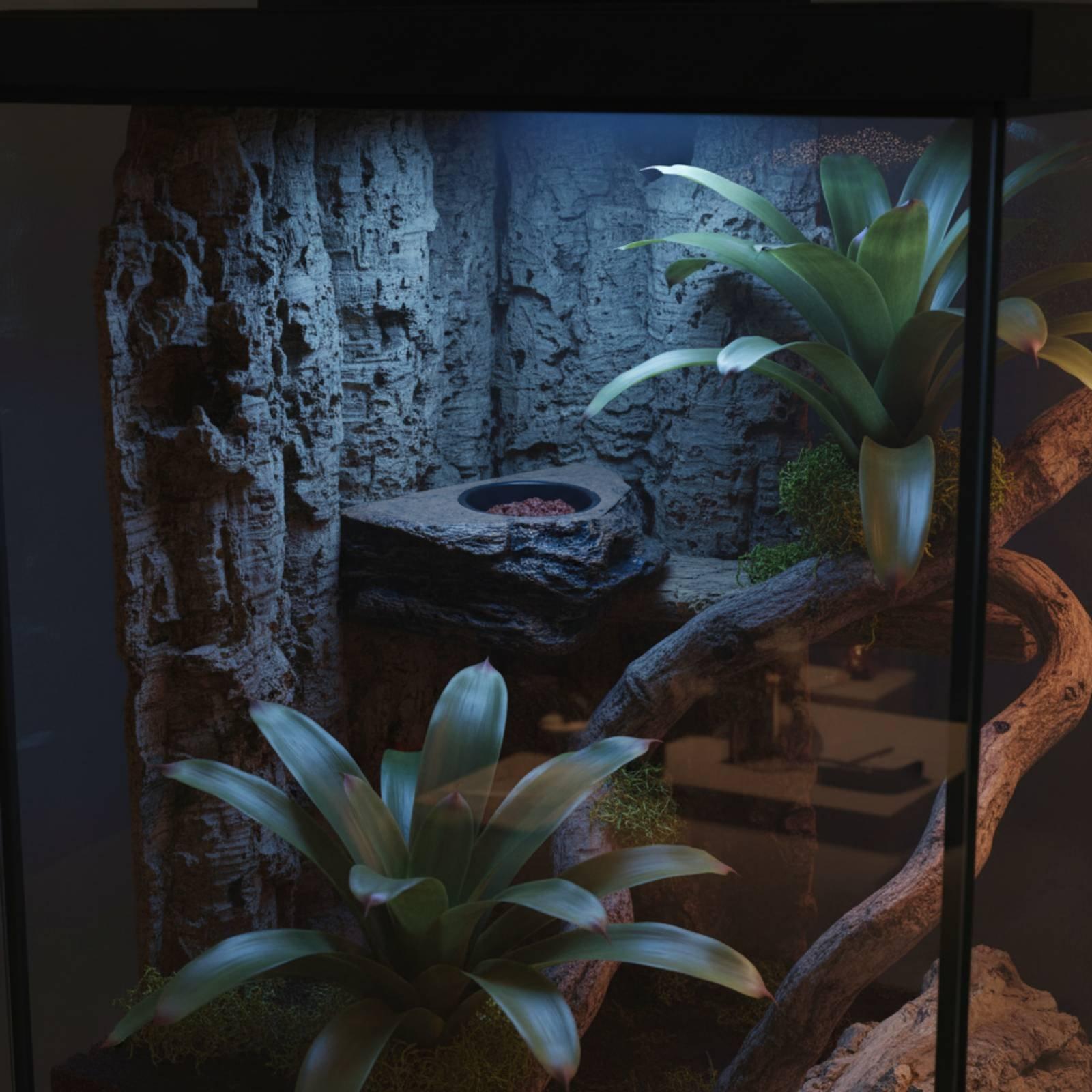 Water Dish Reptile - Gecko Voer- en Waterrek met Verstelbare