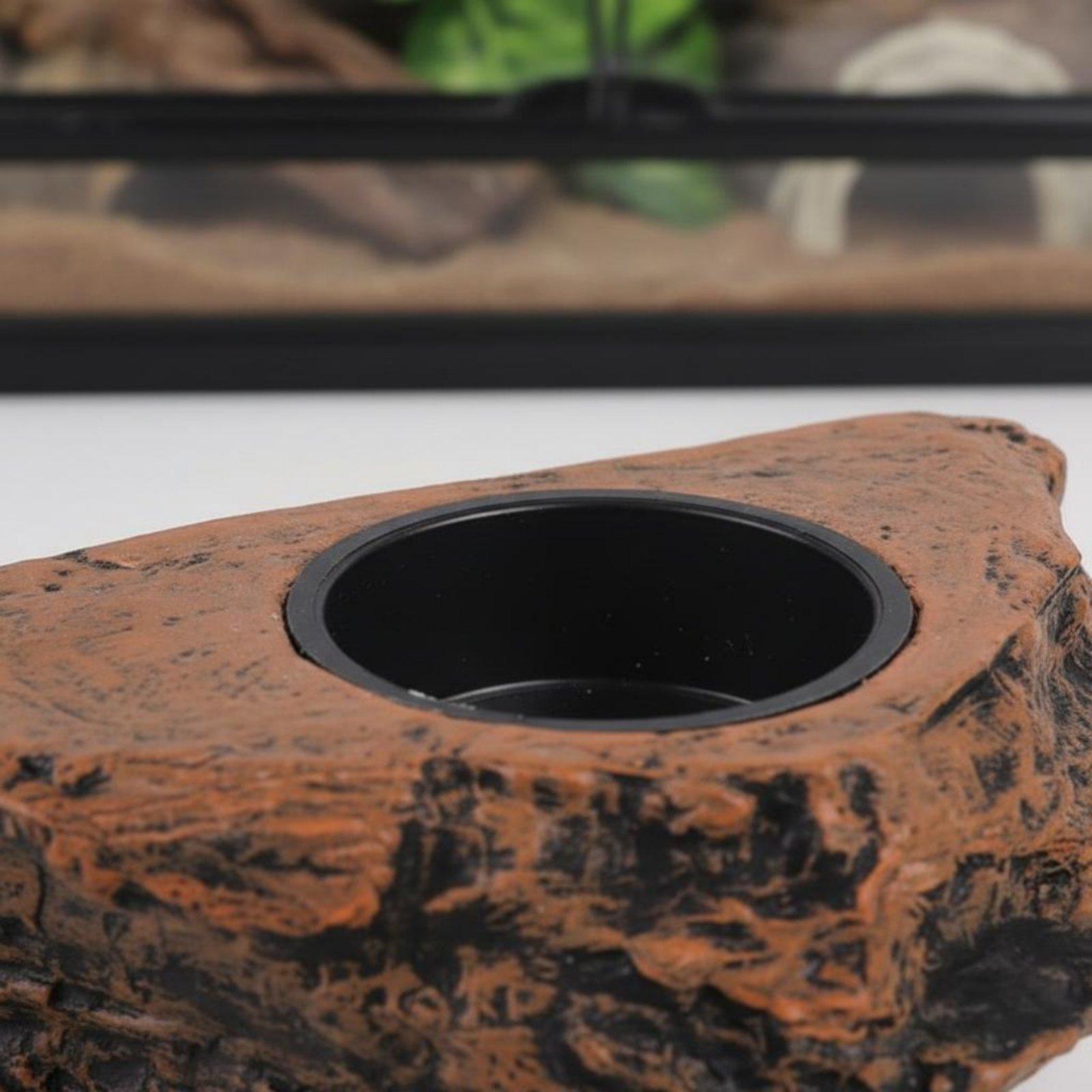 Gecko Voer- en Waterrek met Ve - Water Dish Reptile recensie en prijs