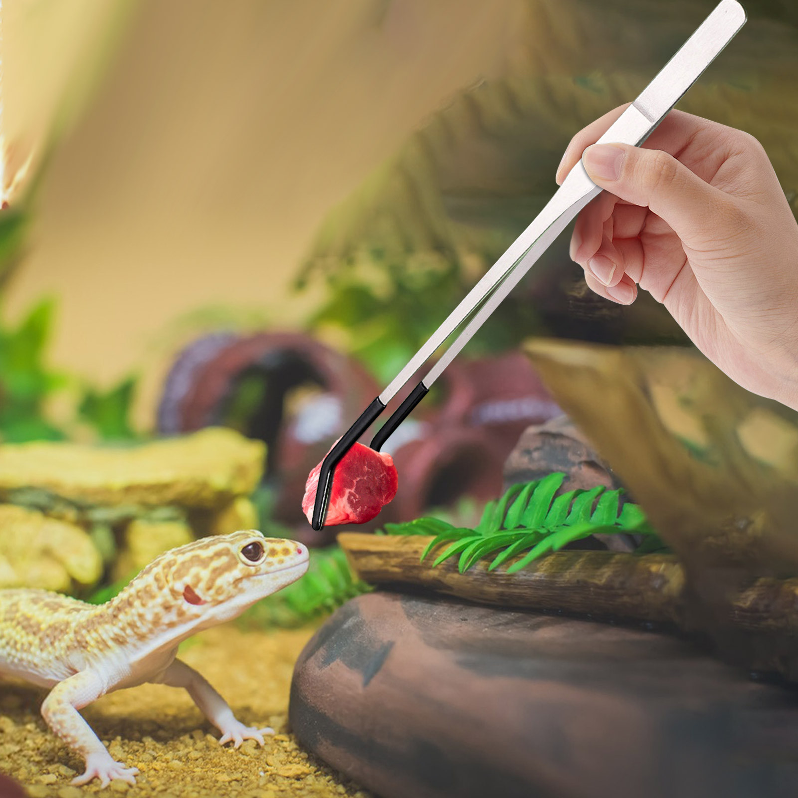 Roestvrijstalen reptielenvoedi - Water Dish Reptile recensie en prijs
