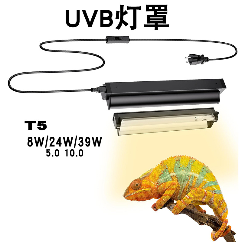T5 UVB-buis met geïntegreerde  - Calcium Powder Reptile recensie en prijs